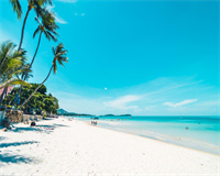 網(wǎng)站制作先出設計圖后簽合同可以嗎